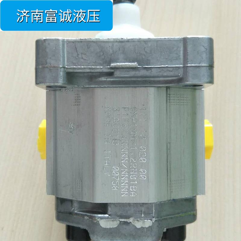 DANFOSS液压泵SNP1NN/6,0RN01BAP1C2C2NNNN/NNNNN齿轮泵