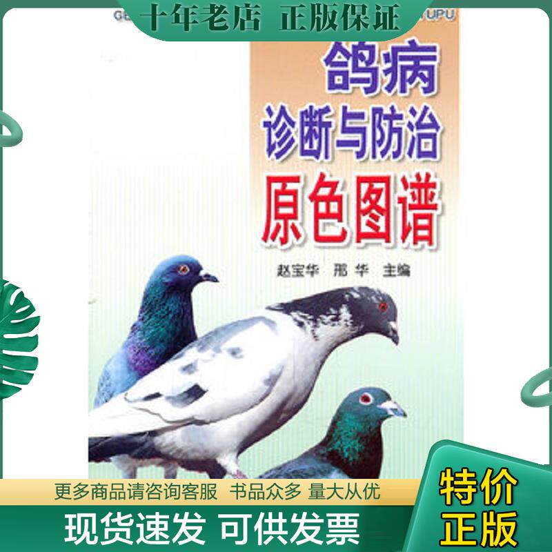 正版现货9787508268934 鸽病诊断与防治原色图谱 赵宝华 金盾出版社