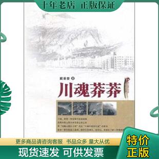 正版现货9787545503678 川魂莽莽 戴善奎 天地出版社