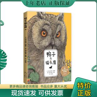 正版现货9787540776862 汉娜·约翰森作品系列：鸭子与猫头鹰 (瑞士)汉娜约翰森文,(瑞士)凯蒂班德图,尤岚岚译 漓江出版社