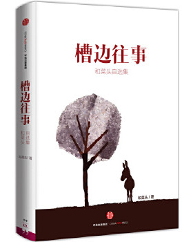 正版促销9787508654485 槽边往事：和菜头自选集 和菜头著 中信出版社