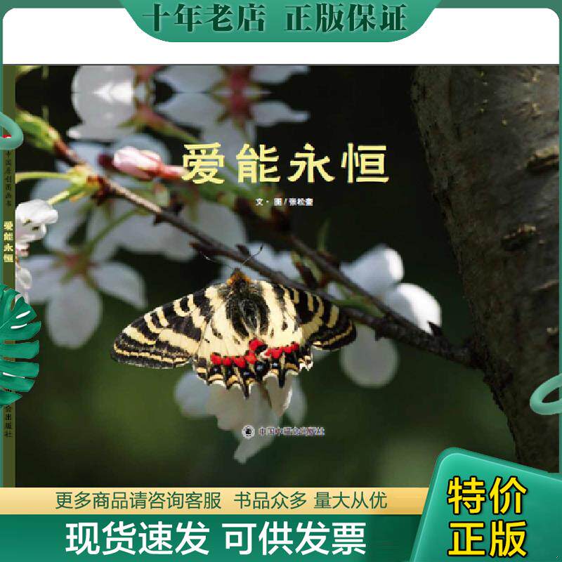 正版现货9787507226430 中国原创图画书：爱能永恒 张松奎 中国福利会出版社