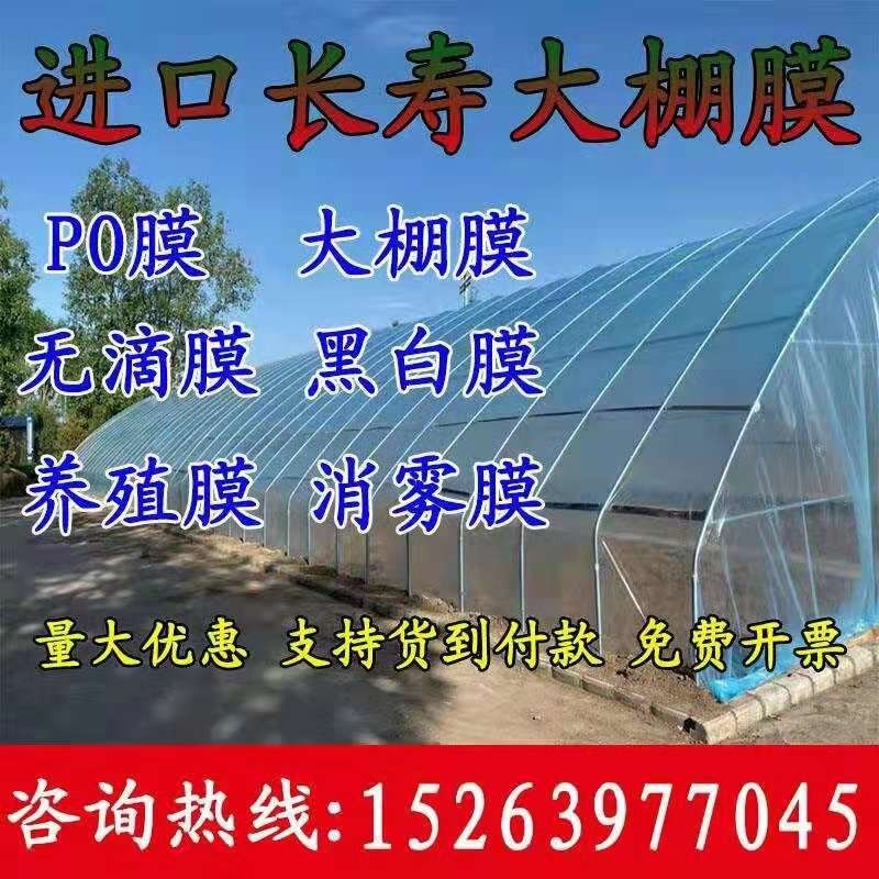 蔬菜大棚膜黑白膜高透光PO膜
