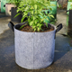 高品质种植袋热卖 加厚无纺布美植袋植树袋阳台楼顶种菜神器花盆
