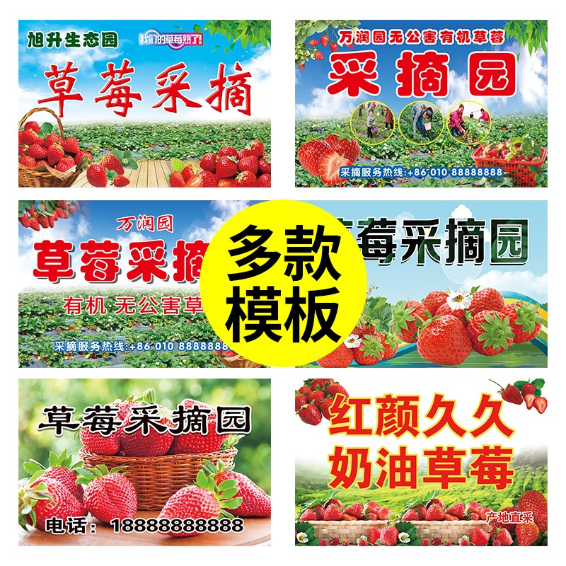 草莓采摘园广告纸卖草莓喷绘布宣传贴纸指引招牌海报设计制作打印