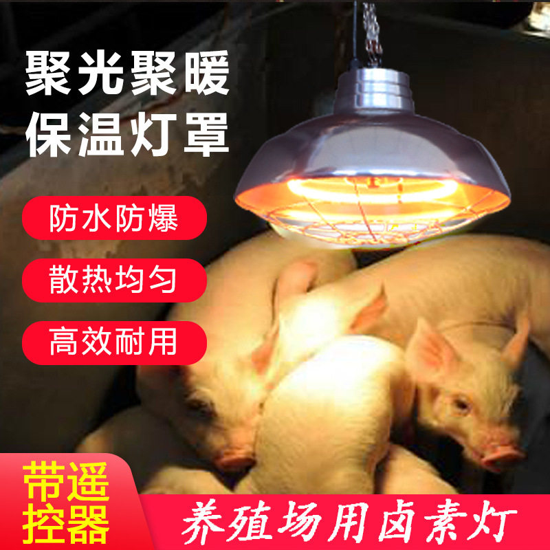 养殖场用大号卤素保温灯猪仔雏鸡灯罩小猪暖灯取暖灯保温灯加热灯