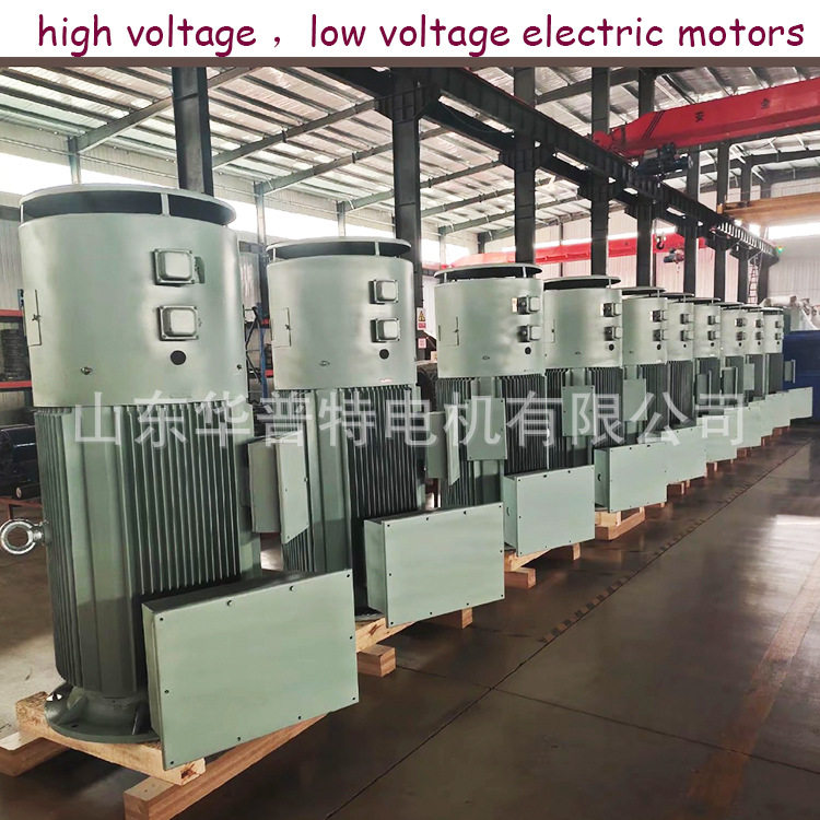 出口变频立式电机YVP3-400-10/160kw -适用于变频器操作,