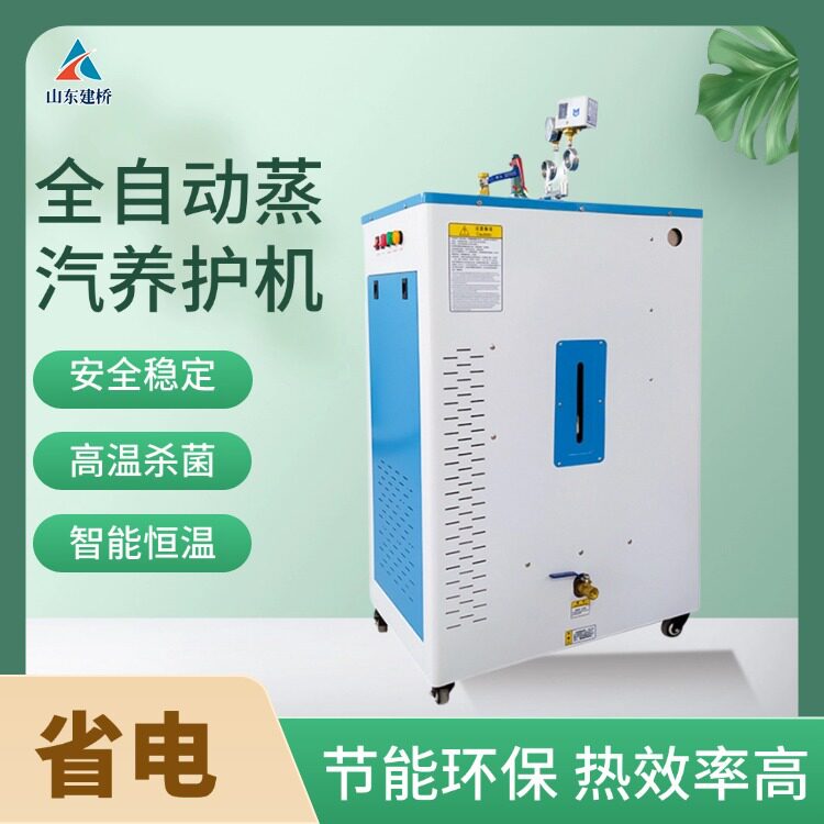 小型电加热蒸汽锅炉 全自动桥梁蒸汽养护系统安装指导