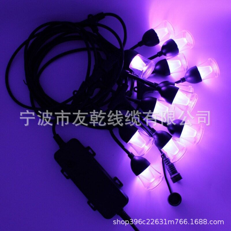 ETL美低压吊灯9.8米12灯 涂鸦智能灯串 户外防水RGB灯串彩色无
