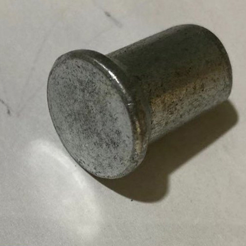 敲击式不锈钢实心平头铆钉