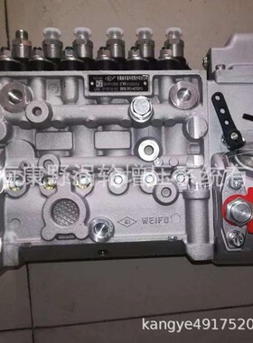 喷油泵6PH163 5301583和6PH732 5311945和 4988758 10404536042