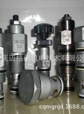 溢流阀YLF-NJ YLF-01 (压滤机专用）