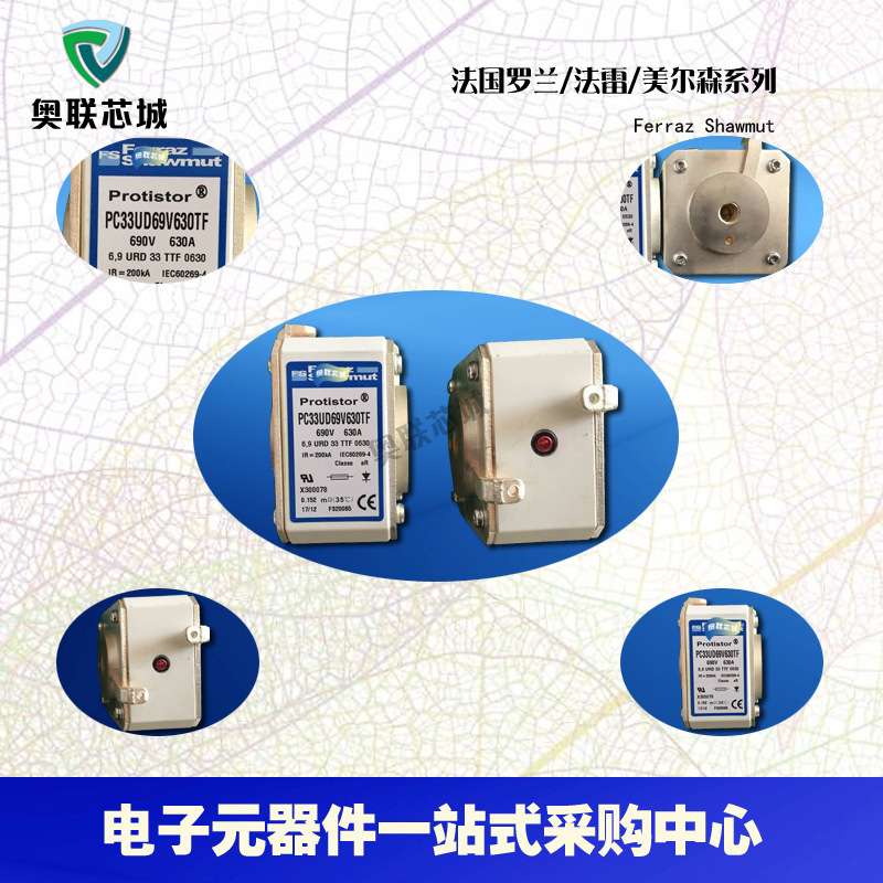 PC33UD69V1000EF F300224 PC33UD69V1100EF G300225罗兰熔断器