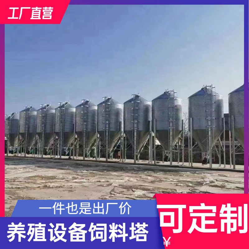 养殖场上料塔粮仓自动化养猪料线饲料塔是蛟龙连线塞盘链条全自动