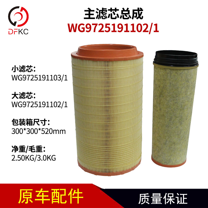弗列加 重WG9725191102-1主滤芯总成 小滤芯WG9725191103