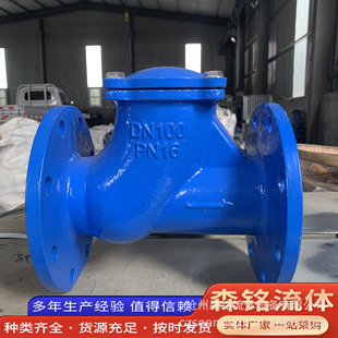 HQ41X-16Q球型止回阀污水止回阀滑道滚球式单向逆止阀