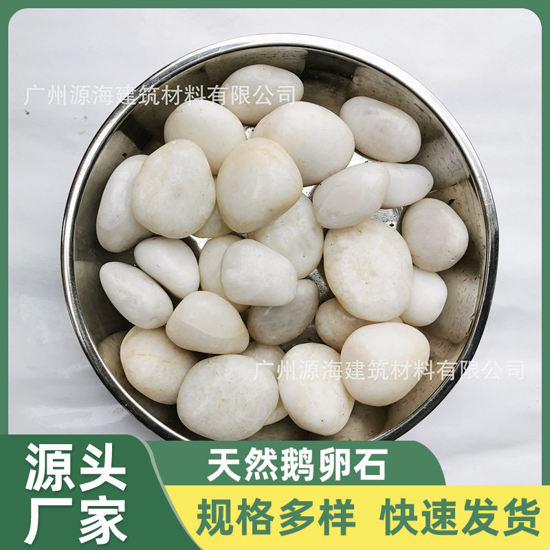 广东海南广西精抛光天然鹅卵石白色石头雨花石