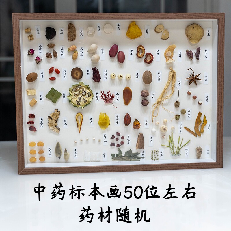 中药标本装饰画中药标本摆件画框大尺寸中药标本框壁纸背景组方