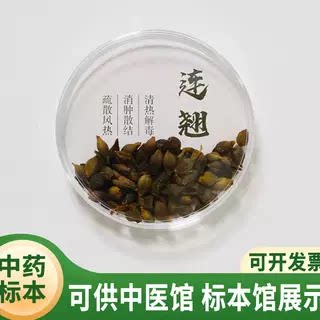 中药药材道具名贵药材展示盒中药药材标本瓶中药盒中药材展示