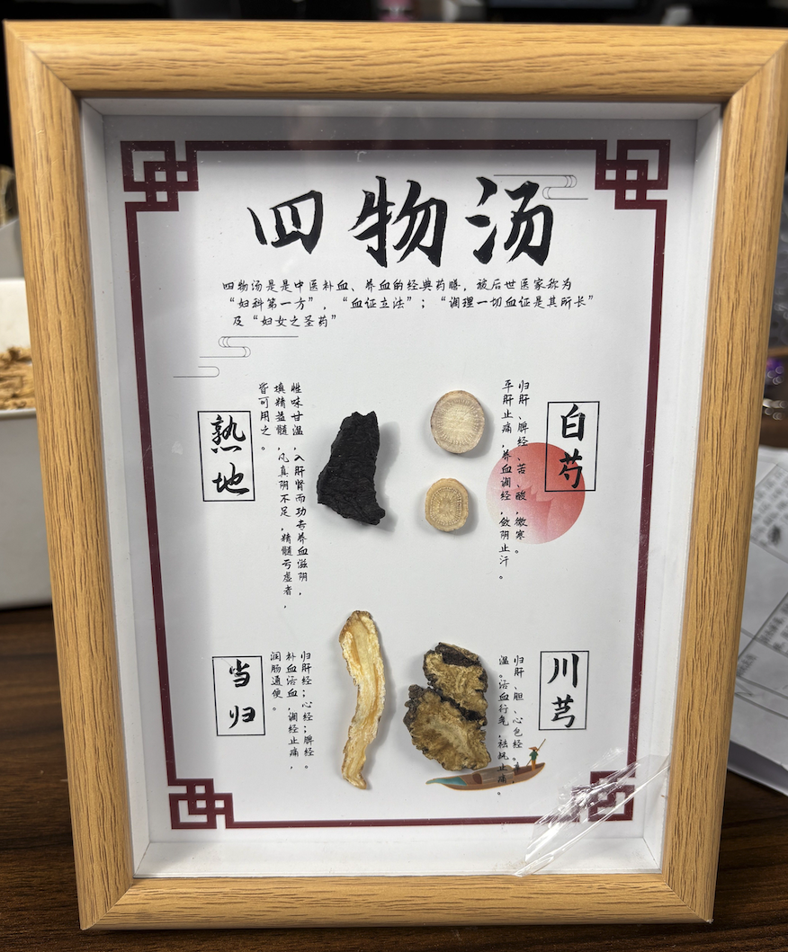 中草药材标本标本画中医学生礼物