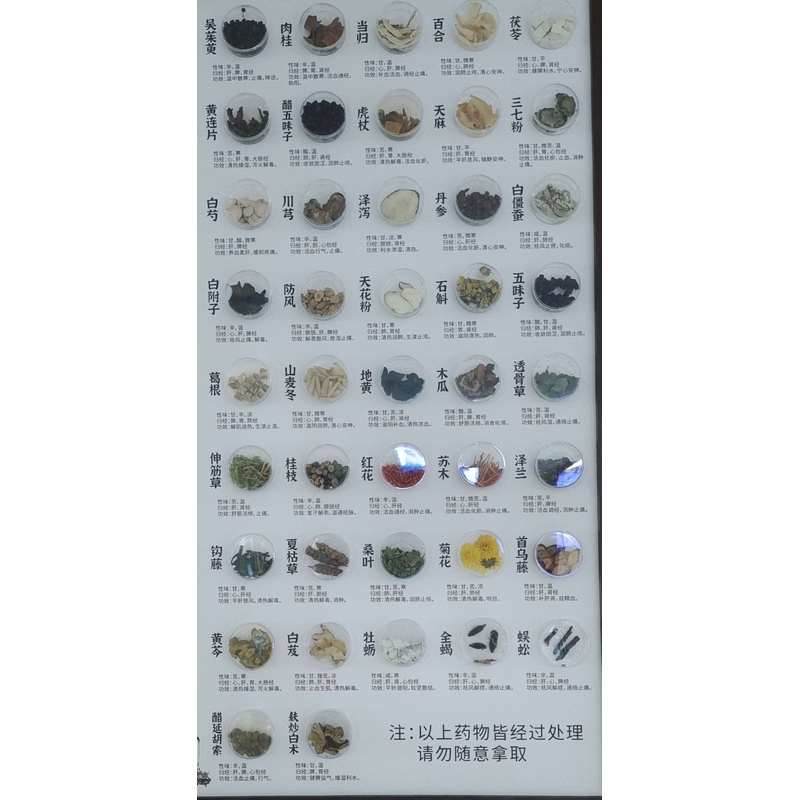 中医药文创产品相关礼品悬挂中药材展示感药食同源挂画植物画