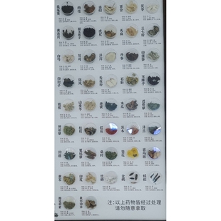 中医药文创产品相关礼品悬挂中药材展示感药食同源挂画植物画