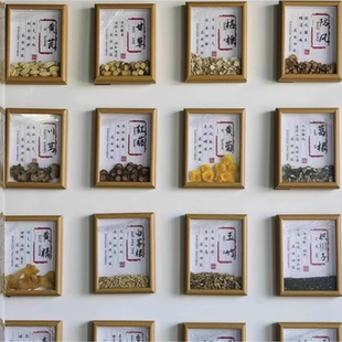 中药标本展示墙玻璃瓶生活麻辣烫汤铺壁画文创幼儿园白芍普及中空