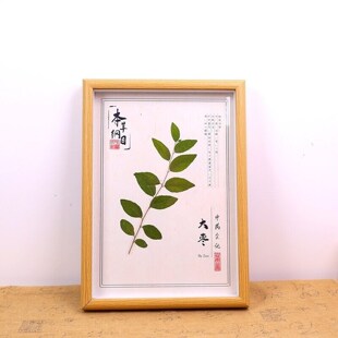 植物标本卖手工中药手串背景图中医馆中药摆件中药教学标本24节气