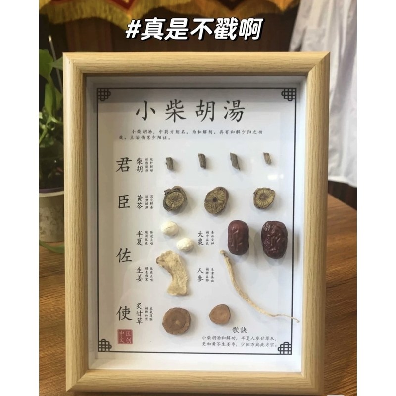 隔三消药材图片中医文化小摆件中药类的小礼物药食同源画中药拼图