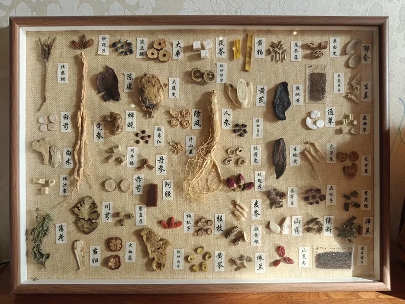 中药标本画展示框中药药食同源