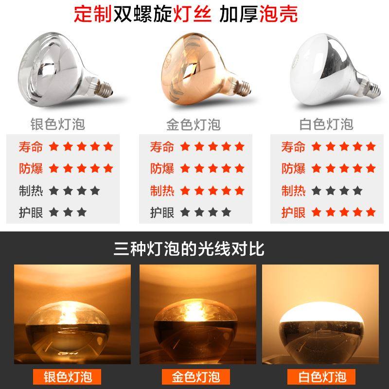 鼎赫 防水浴霸壁挂式风暖+两灯暖 挂壁式卫生间浴室挂墙取暖灯泡