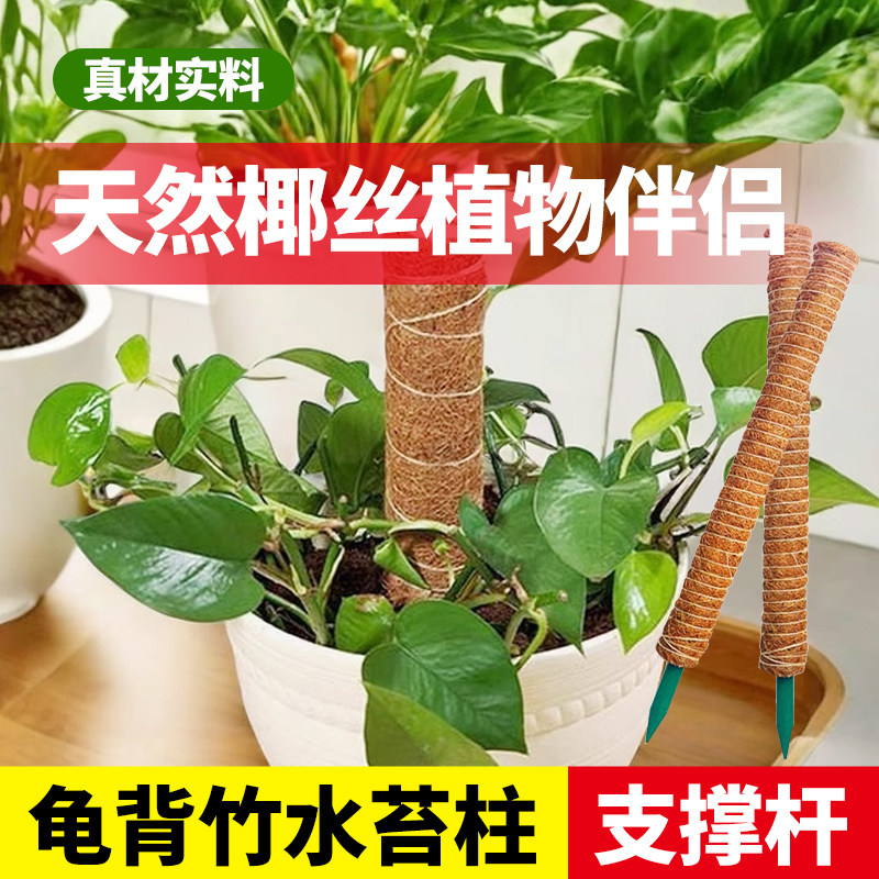 速发龟背竹水苔柱椰植棒支撑柱棕榈通用支架椰丝固定棕物攀爬园艺