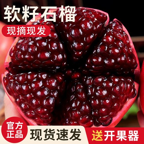现货！严选！突尼斯软籽石榴