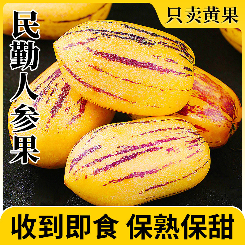 甘肃民勤沙漠人参果新鲜水果10斤特产七彩大果树上熟人整箱包邮