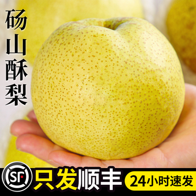 当天采摘丨入口化渣丨砀山酥梨！