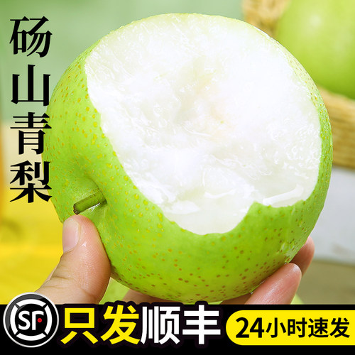 「只发顺丰」脆甜砀山青梨子！