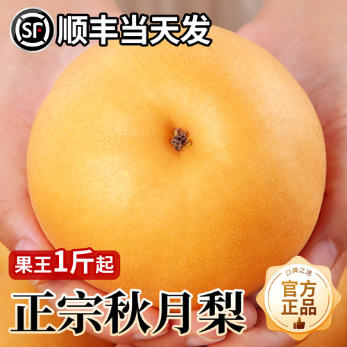 【官方推荐放心购】正宗秋月梨