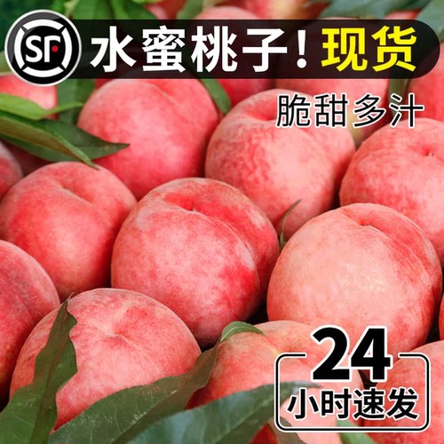 【官方推荐】新鲜水蜜桃子脆甜!