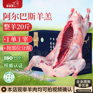 内蒙古阿尔巴斯新鲜现杀羊肉整只羊排散养羊肉山羊生羊肉半只10斤