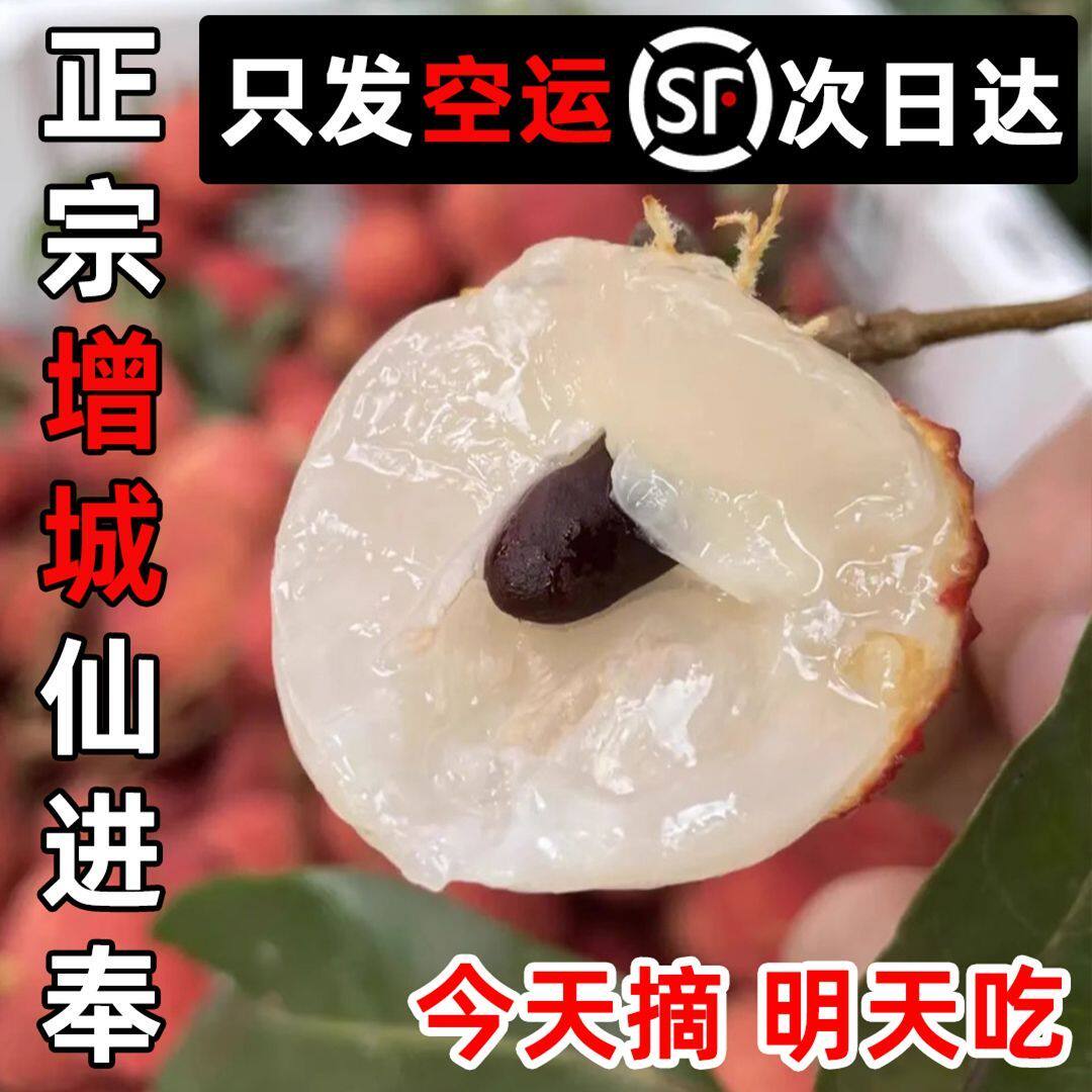 新鲜荔枝广州增城仙进奉荔枝当季荔枝新鲜水果现摘现发空运次日达