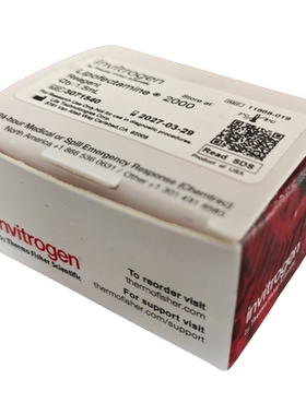 赛默飞Invitrogen 11668019/11668027转染试剂Lipofectamine2000