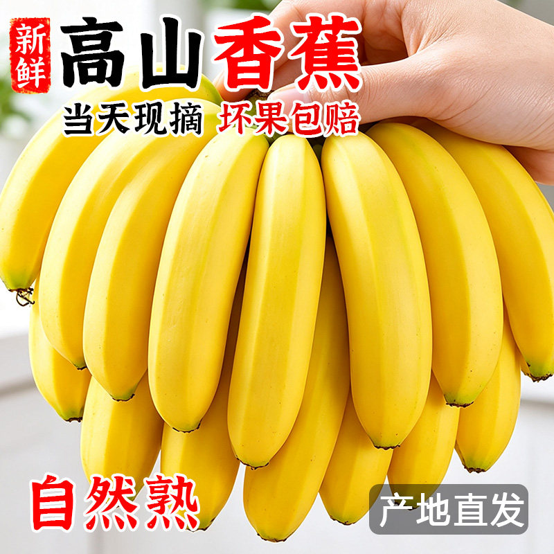 高山甜香蕉新鲜水果当季现摘5斤