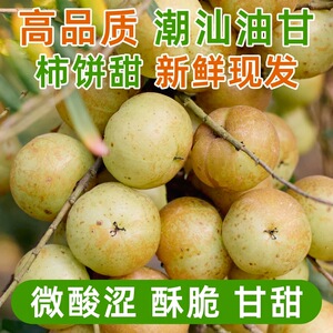 潮汕新鲜柿饼甜油甘果余甘果甜种牛甘子孕妇腌制榨汁泡酒甜种油柑
