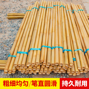 碳化防腐粗细竹竿批发2 3 4 5米长小竹子杆隔断瘦空栅栏围栏篱笆
