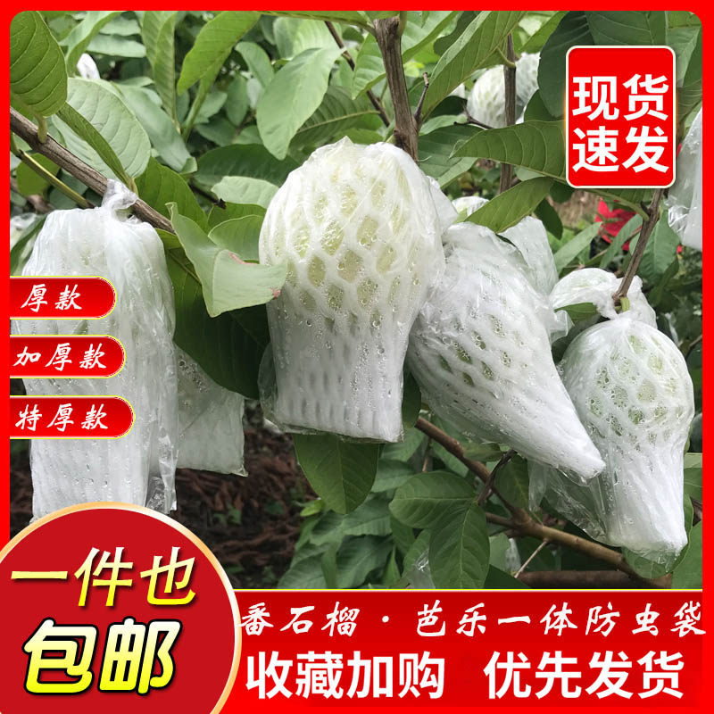 速发网虫芭乐套袋番石一防袋包果袋套水果保护袋加厚专用榴体防虫,鲜花速递/花卉仿真/绿植园艺,其它园艺用品,淘宝优惠券,粉丝福利购,淘宝优惠卷