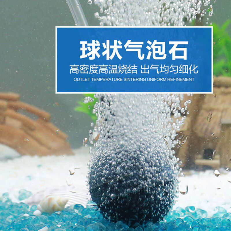 速发增氧泵头气泡石高温烧结气盘气饼气泵鱼缸增氧空气细化器充氧