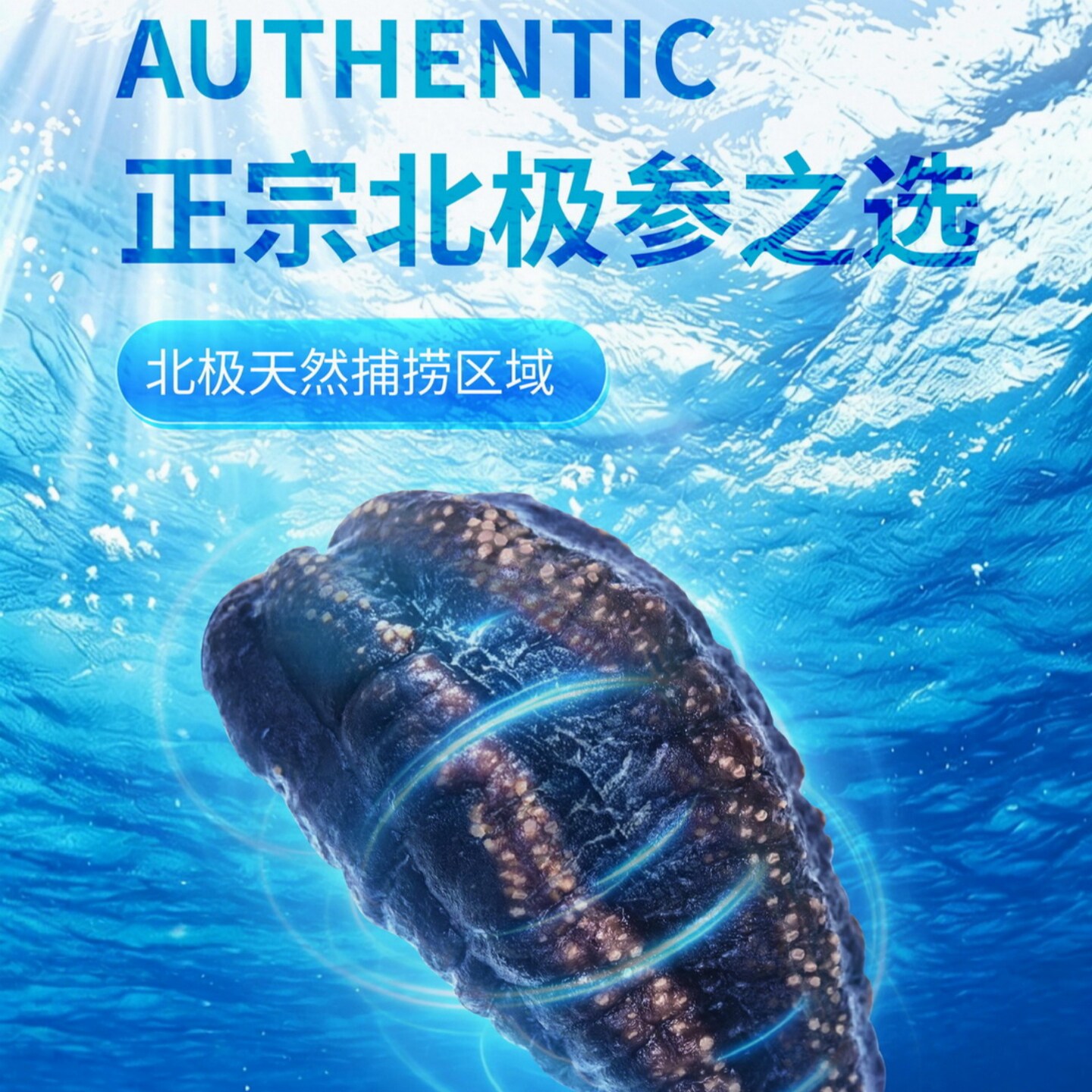 【加拿大北极参】燕硰海参高端礼盒快速泡发男士干货特产120g*1盒
