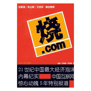 烧.com 收藏品 21世纪中国最大经济泡沫内幕纪实 中国互连网惊心动魄5年特别报道赵旭 社97878014548 王学锋等著光明日报出版 正版