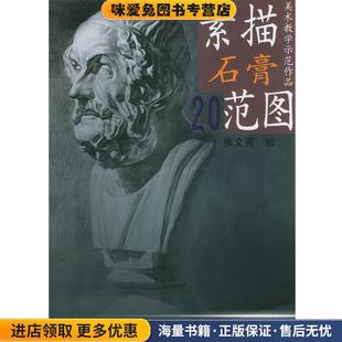 素描石膏范图20—美术教学示范作品(正版收藏品)张文亮 编绘天津杨柳青画社9787805036779
