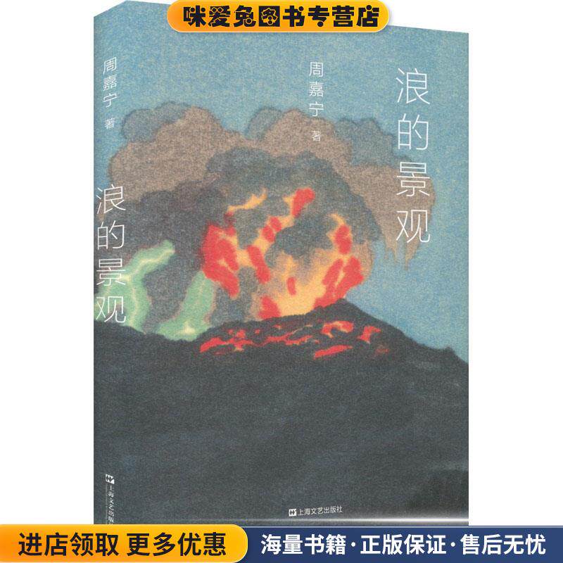 浪的景观(正版收藏品)周嘉宁上海文艺出版社9787532182244